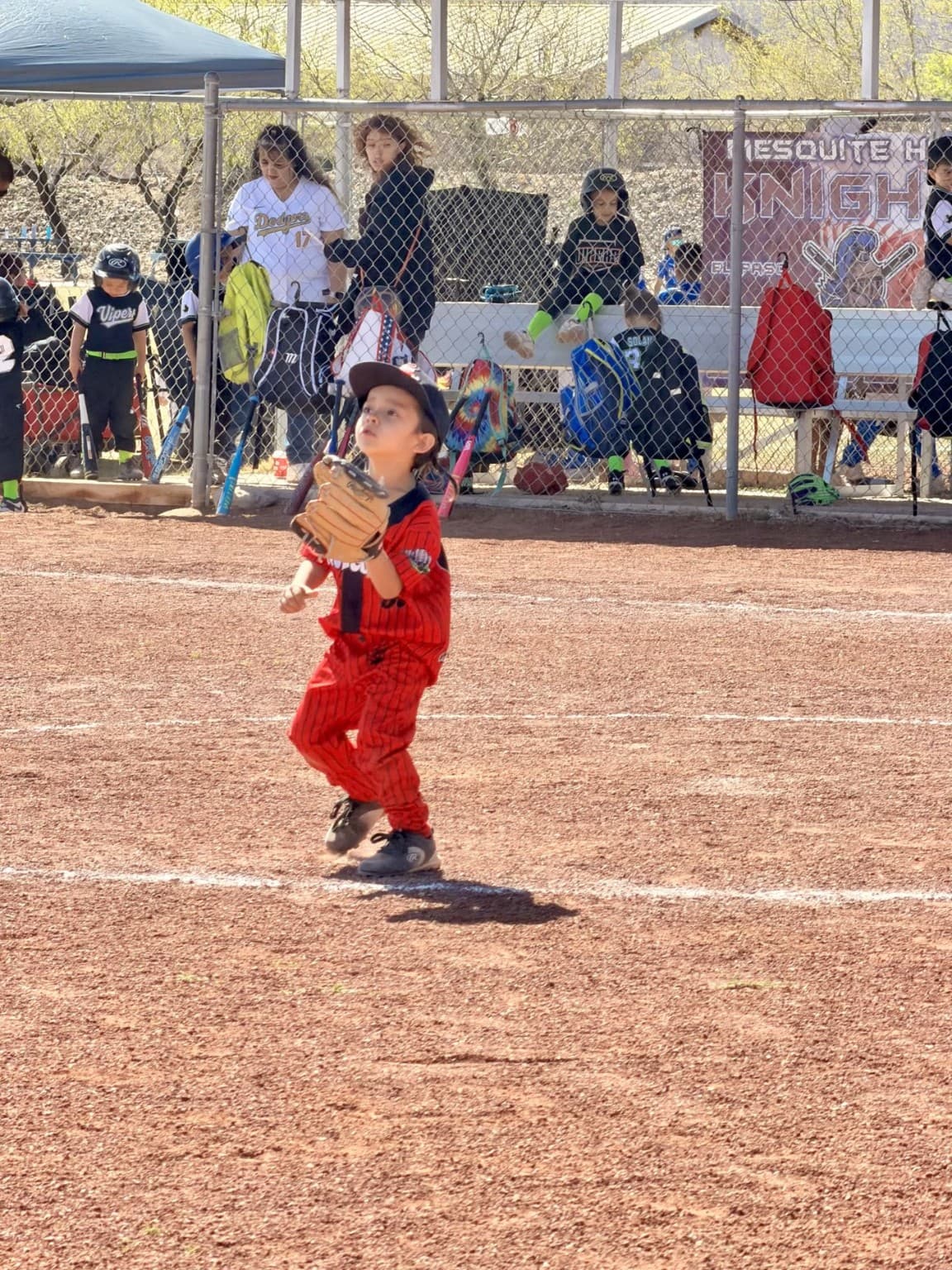 T-Ball gallery photo 9